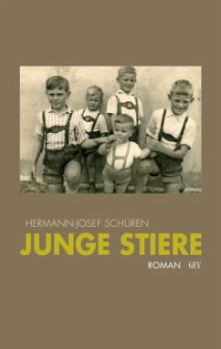 Junge Stiere - Schüren, Hermann-Josef