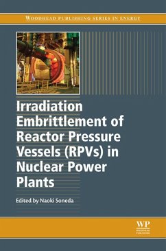 Irradiation Embrittlement of Reactor Pressure Vessels (RPVs) in Nuclear Power Plants (eBook, ePUB)