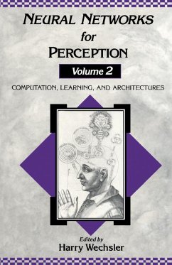 Neural Networks for Perception (eBook, PDF)