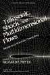 Transonic, Shock, and Multidimensional... - Bild 1