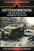 Gotterdammerung (eBook, ePUB)