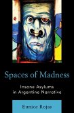 Spaces of Madness (eBook, ePUB)