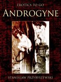 Androgyne (eBook, ePUB)