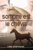 Sombre est le cheval (eBook, ePUB)