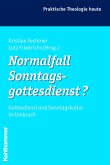Normalfall Sonntagsgottesdienst? (eBook, ePUB)