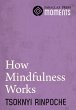 How Mindfulness Works (eBook, ePUB) - Bild 1