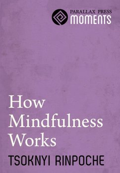 How Mindfulness Works (eBook, ePUB) - Rinpoche, Tsoknyi