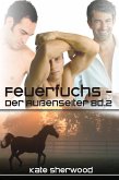 Feuerfuchs - Der Außenseiter Bd. 2 (eBook, ePUB)