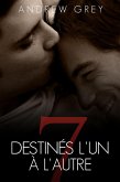 Destinés l'un à l'autre (eBook, ePUB)