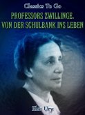 Professors Zwillinge. Von der Schulbank ins Leben (eBook, ePUB)