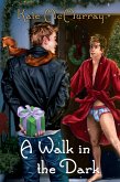 A Walk in the Dark (eBook, ePUB)