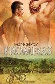 Promesas (eBook, ePUB)