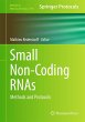 Small Non-Coding RNAs - Bild 1