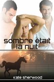 Sombre était la nuit (eBook, ePUB)
