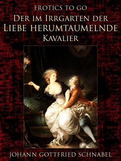 Der im Irrgarten der Liebe herumtaumelnde Kavalier (eBook, ePUB) - Schnabel, Johann Gottfried