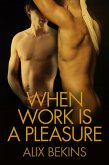 When Work Is a Pleasure (eBook, ePUB) When Work Is a Pleasure (eBook, ePUB)