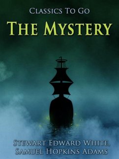 Cover The Mystery (eBook, ePUB)