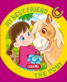 My Best Friend, the Pony (eBook, ePUB)