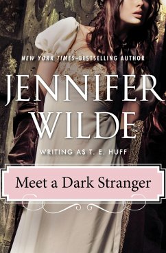 Cover Meet a Dark Stranger (eBook, ePUB)
