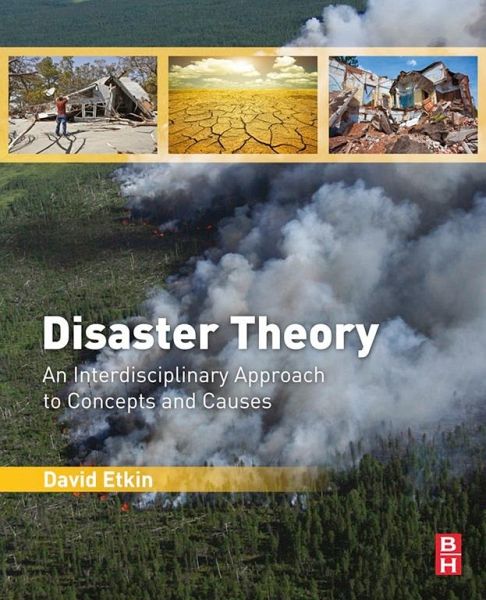 Disaster Theory (eBook, ePUB) Disaster Theory (eBook, ePUB)