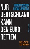 Nur Deutschland kann den Euro retten (eBook, ePUB)