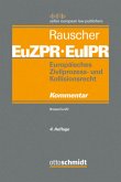 Europäisches Zivilprozess- und Kollisionsrecht EuZPR/EuIPR