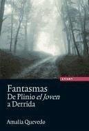 Fantasmas: de Plinio el Joven a Derrida