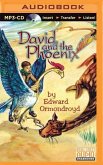 David and the Phoenix