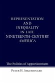 Representation and Inequality in Late Nineteenth-Century America