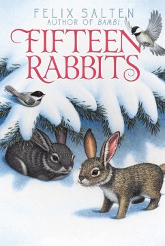 Cover Fifteen Rabbits (eBook, ePUB)