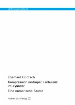 Kompression isotroper Turbulenz im Zylinder - Güntsch, Eberhard