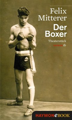 Der Boxer (eBook, ePUB) - Mitterer, Felix