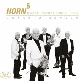 Horn 6