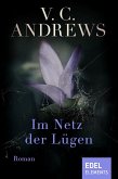 Im Netz der Lügen (eBook, ePUB)