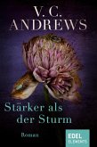 Stärker als der Sturm (eBook, ePUB)