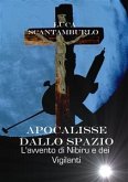 Apocalisse dallo Spazio. L'avvento di Nibiru e dei Vigilanti (eBook, ePUB)