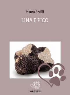 Lina e Pico (eBook, ePUB) - Arzilli, Mauro