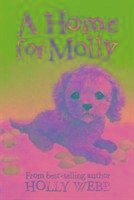 A Home for Molly - Webb, Holly