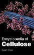 Encyclopedia of Cellulose - Bild 1