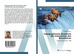 Topographische Anatomie des Unterarmes des Braunbären - Mauser, Elisabeth