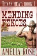Mending Fences - Bild 1