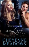 Sky's Lark (eBook, ePUB)