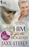 Him for the Holidays (eBook, ePUB)