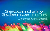 Secondary Science 11 to 16 (eBook, ePUB)