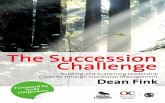 The Succession Challenge (eBook, ePUB)