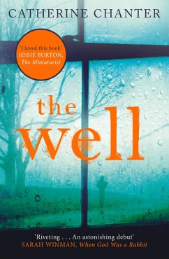 The Well (eBook, ePUB) - Chanter, Catherine