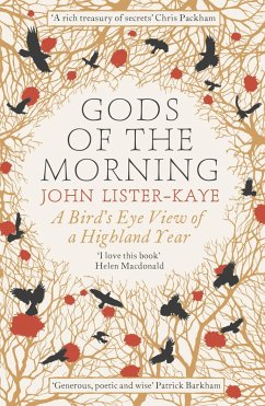 Gods of the Morning (eBook, ePUB) - Lister-Kaye, John