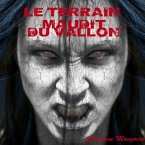 Le terrain maudit du vallon 