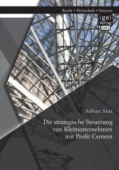 Die strategische Steuerung von Kleinunternehmen mit Profit Centern - Sinz, Sabine