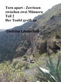 Torn apart - Zerrissen zwischen zwei Männern (eBook, ePUB)